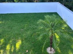 https://img.olx.com.br/thumbs256x256/19/191526761574123.jpg