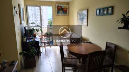 https://img.olx.com.br/thumbs256x256/19/191529162456973.jpg