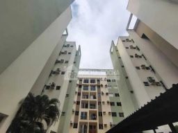 https://img.olx.com.br/thumbs256x256/19/191595871350911.jpg