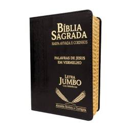 Título do anúncio: Bíblia Sagrada