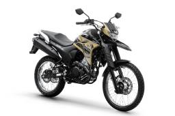 Título do anúncio: Xtz Lander 250 ABS 2022 Yamaha 0km