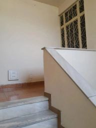 https://img.olx.com.br/thumbs256x256/19/193552631444548.jpg