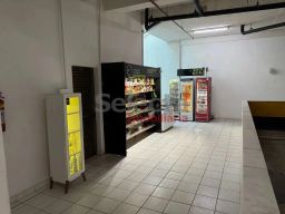 https://img.olx.com.br/thumbs256x256/19/193572038918290.jpg
