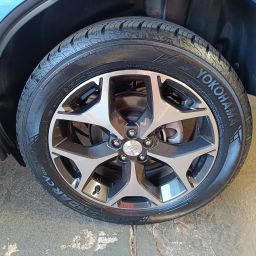 https://img.olx.com.br/thumbs256x256/19/193687606668117.jpg