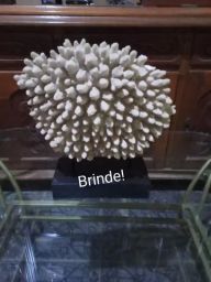 https://img.olx.com.br/thumbs256x256/19/195441280160709.jpg