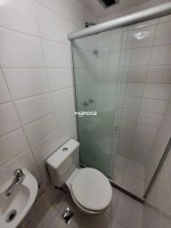 https://img.olx.com.br/thumbs256x256/19/195504884204605.jpg