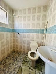 https://img.olx.com.br/thumbs256x256/19/195558764476668.jpg