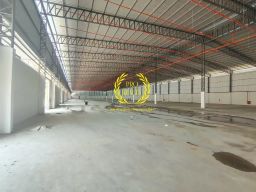 https://img.olx.com.br/thumbs256x256/19/195601693727491.jpg