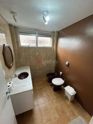 https://img.olx.com.br/thumbs256x256/19/195689804010588.jpg