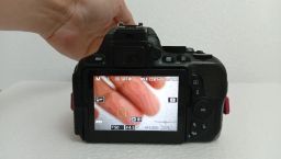 https://img.olx.com.br/thumbs256x256/19/195699791661445.jpg