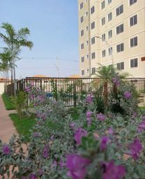 https://img.olx.com.br/thumbs256x256/19/196518407250486.jpg