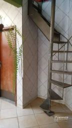 https://img.olx.com.br/thumbs256x256/19/196528285613399.jpg