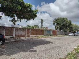 https://img.olx.com.br/thumbs256x256/19/196654201876306.jpg