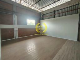 https://img.olx.com.br/thumbs256x256/19/196656929331824.jpg