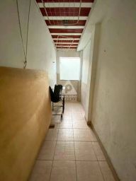 https://img.olx.com.br/thumbs256x256/19/197564888264539.jpg