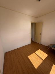 https://img.olx.com.br/thumbs256x256/19/197569036582594.jpg