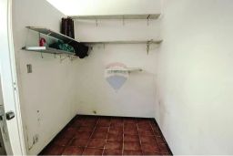 https://img.olx.com.br/thumbs256x256/19/197572767917675.jpg