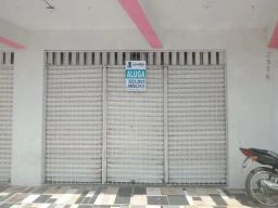 https://img.olx.com.br/thumbs256x256/19/197593161641687.jpg