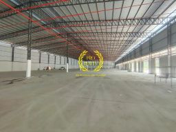 https://img.olx.com.br/thumbs256x256/19/197676338723784.jpg