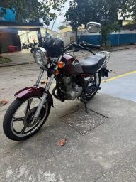 https://img.olx.com.br/thumbs256x256/19/197679816485416.jpg