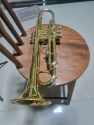 https://img.olx.com.br/thumbs256x256/19/198463281642019.jpg