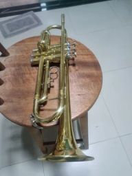 https://img.olx.com.br/thumbs256x256/19/198495763050439.jpg