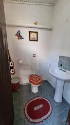 https://img.olx.com.br/thumbs256x256/19/198531167776264.jpg