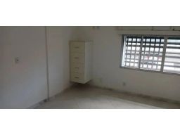 https://img.olx.com.br/thumbs256x256/19/198543529719406.jpg