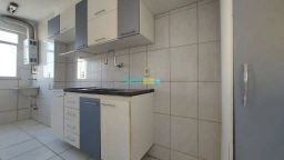 https://img.olx.com.br/thumbs256x256/19/198552646390710.jpg