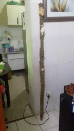 https://img.olx.com.br/thumbs256x256/19/198651313262699.jpg