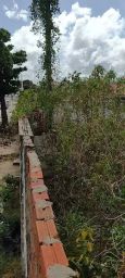 https://img.olx.com.br/thumbs256x256/19/199628205967092.jpg