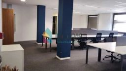 https://img.olx.com.br/thumbs256x256/20/200623802618691.jpg