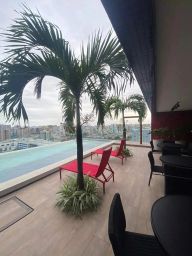 https://img.olx.com.br/thumbs256x256/20/201524754883943.jpg