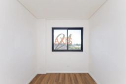 https://img.olx.com.br/thumbs256x256/20/202543768592787.jpg