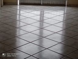 https://img.olx.com.br/thumbs256x256/20/203505529884522.jpg
