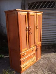https://img.olx.com.br/thumbs256x256/20/203539515291400.jpg