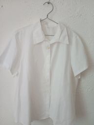 https://img.olx.com.br/thumbs256x256/20/203567159100455.jpg