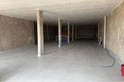 https://img.olx.com.br/thumbs256x256/20/203584390020857.jpg