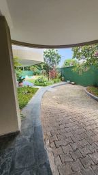 https://img.olx.com.br/thumbs256x256/20/203633085424244.jpg