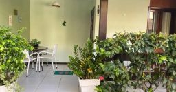 https://img.olx.com.br/thumbs256x256/20/203677190492683.jpg