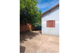 https://img.olx.com.br/thumbs256x256/20/204501889973977.jpg