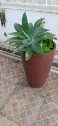 https://img.olx.com.br/thumbs256x256/20/204519282132449.jpg