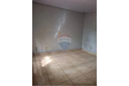 https://img.olx.com.br/thumbs256x256/20/204528525076564.jpg