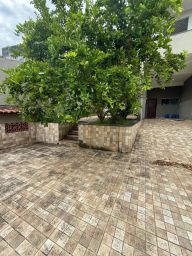 https://img.olx.com.br/thumbs256x256/20/204665428895258.jpg