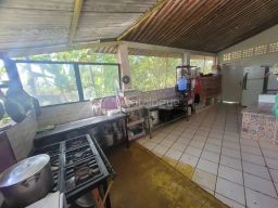 https://img.olx.com.br/thumbs256x256/20/205557281192420.jpg