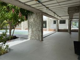 https://img.olx.com.br/thumbs256x256/20/205568759808973.jpg
