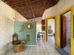 https://img.olx.com.br/thumbs256x256/20/205581635580465.jpg