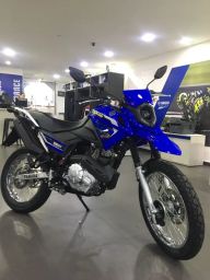 https://img.olx.com.br/thumbs256x256/20/206426226571704.jpg