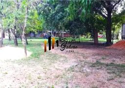 https://img.olx.com.br/thumbs256x256/20/206502284917621.jpg