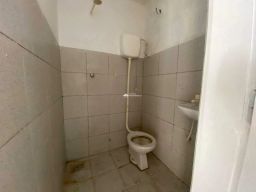 https://img.olx.com.br/thumbs256x256/20/206541162078351.jpg